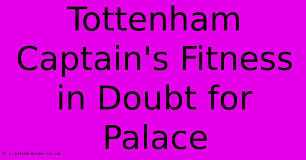 Tottenham Captain's Fitness In Doubt For Palace 