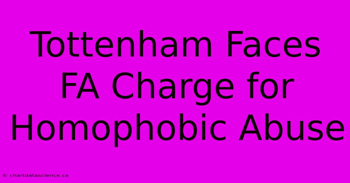 Tottenham Faces FA Charge For Homophobic Abuse