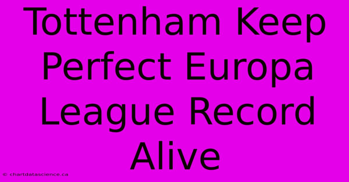 Tottenham Keep Perfect Europa League Record Alive 