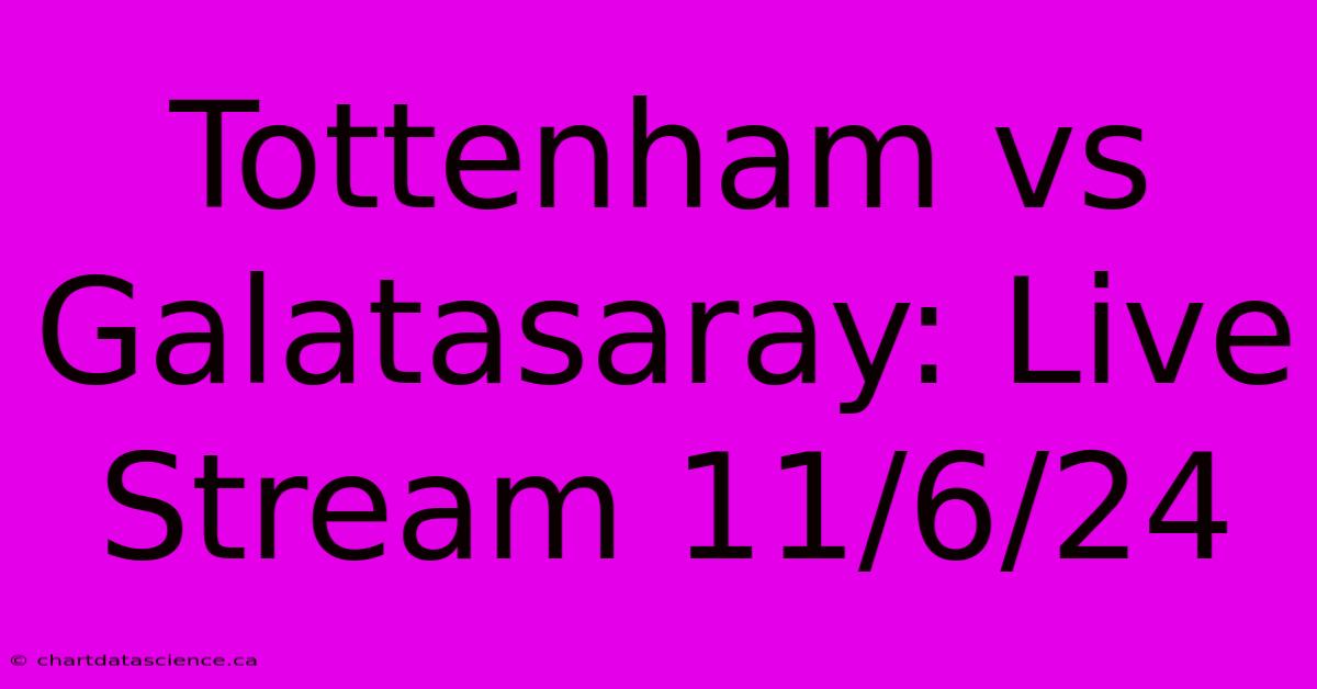 Tottenham Vs Galatasaray: Live Stream 11/6/24 