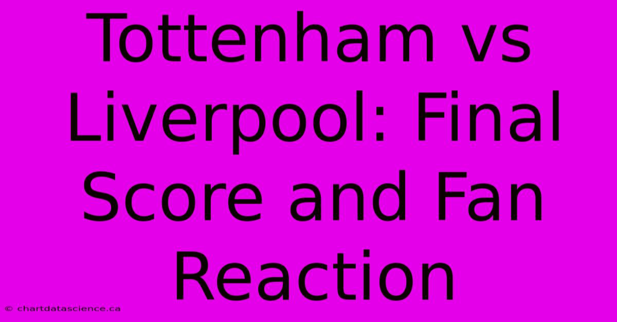 Tottenham Vs Liverpool: Final Score And Fan Reaction