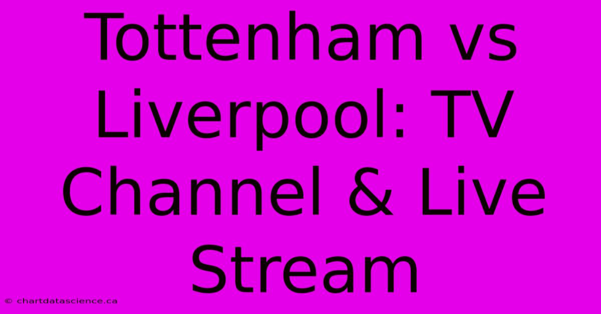 Tottenham Vs Liverpool: TV Channel & Live Stream