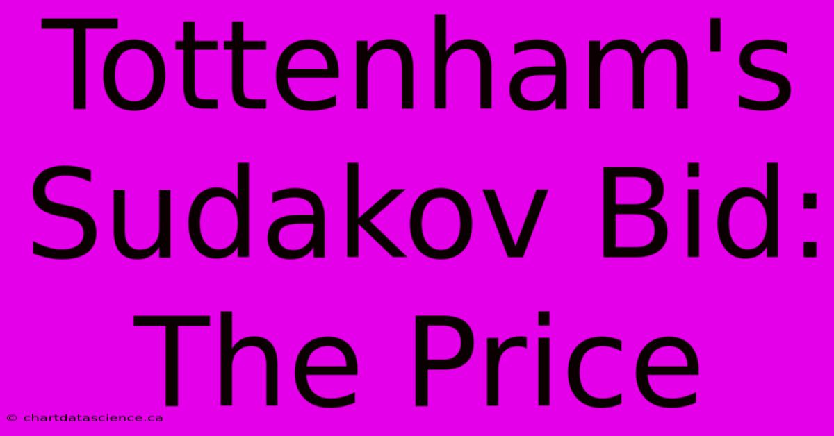 Tottenham's Sudakov Bid: The Price 