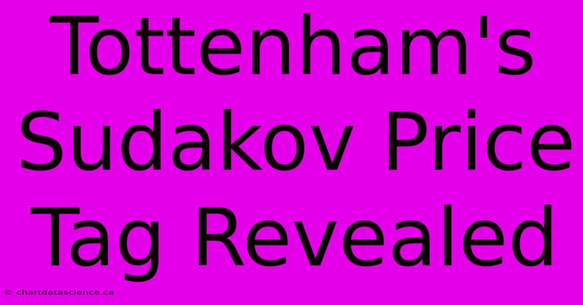 Tottenham's Sudakov Price Tag Revealed