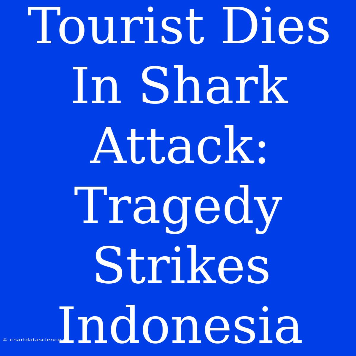 Tourist Dies In Shark Attack: Tragedy Strikes Indonesia