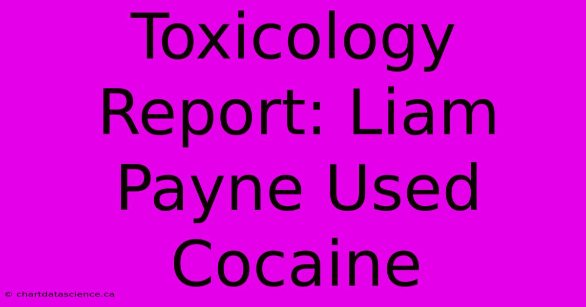 Toxicology Report: Liam Payne Used Cocaine