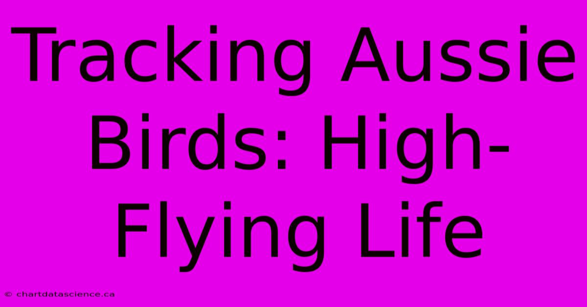 Tracking Aussie Birds: High-Flying Life