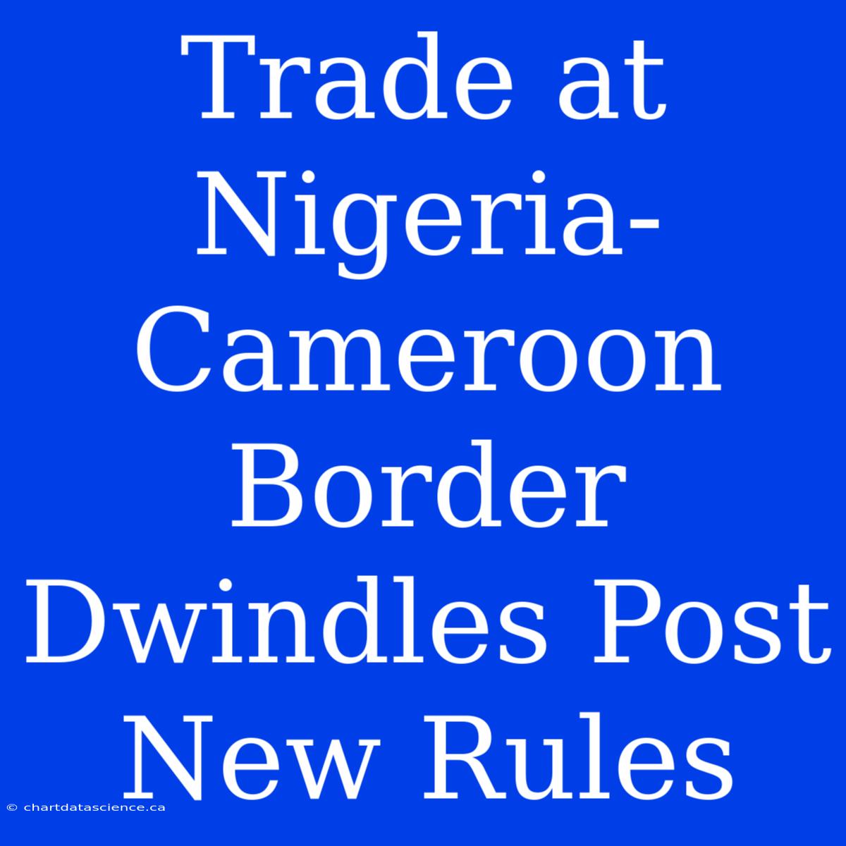 Trade At Nigeria-Cameroon Border Dwindles Post New Rules