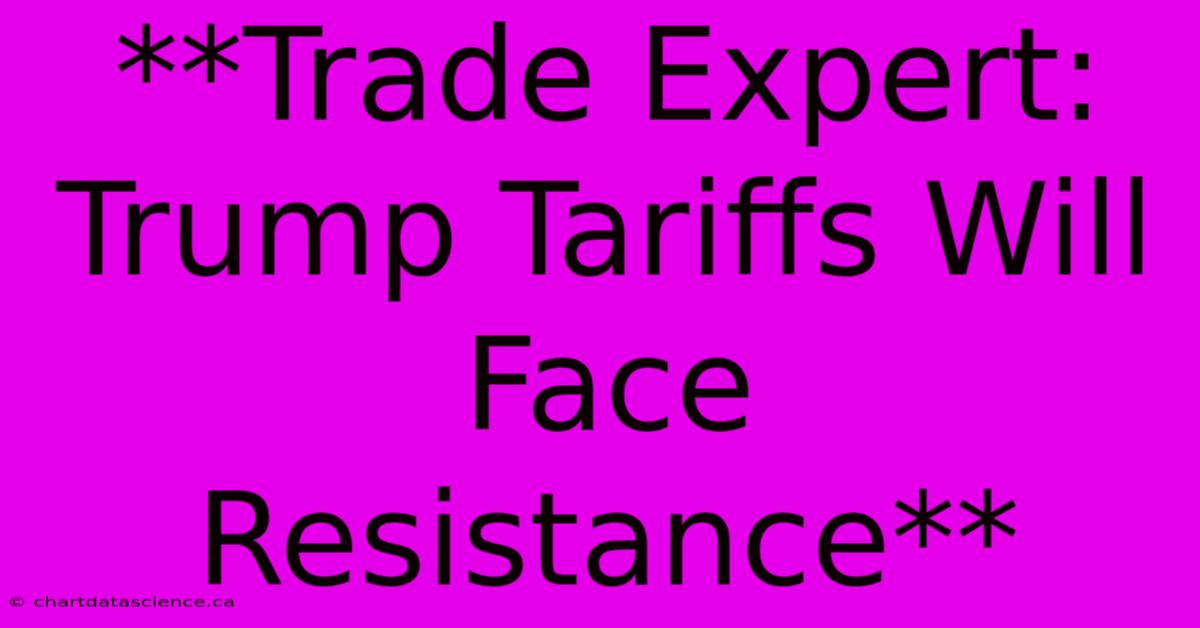 **Trade Expert: Trump Tariffs Will Face Resistance**