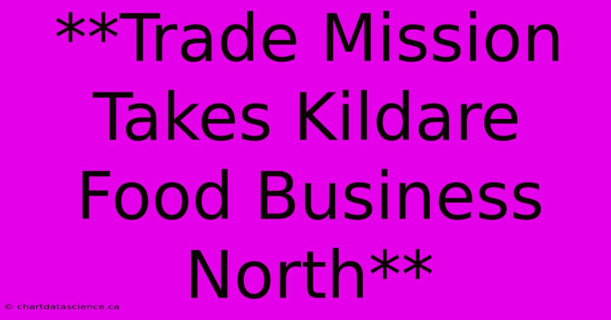 **Trade Mission Takes Kildare Food Business North**