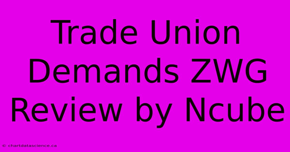 Trade Union Demands ZWG Review By Ncube 