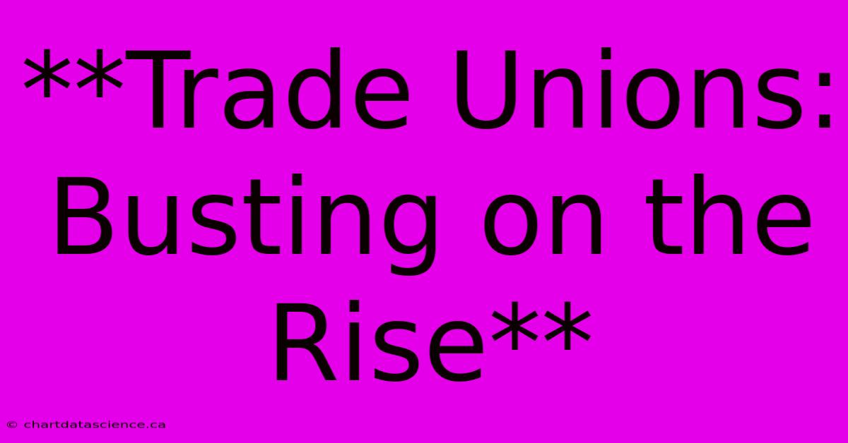 **Trade Unions: Busting On The Rise**