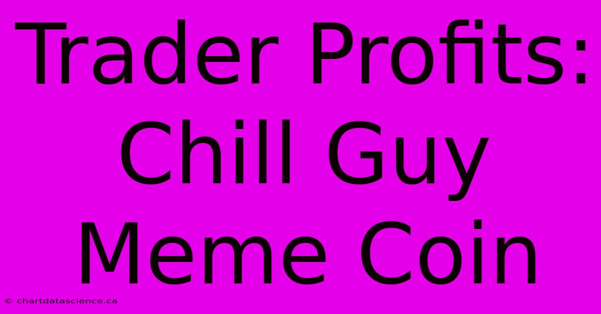 Trader Profits: Chill Guy Meme Coin