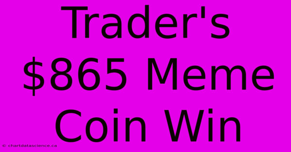 Trader's $865 Meme Coin Win