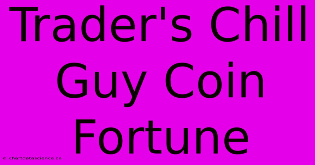 Trader's Chill Guy Coin Fortune