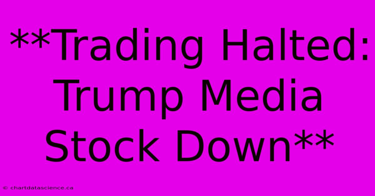 **Trading Halted: Trump Media Stock Down**