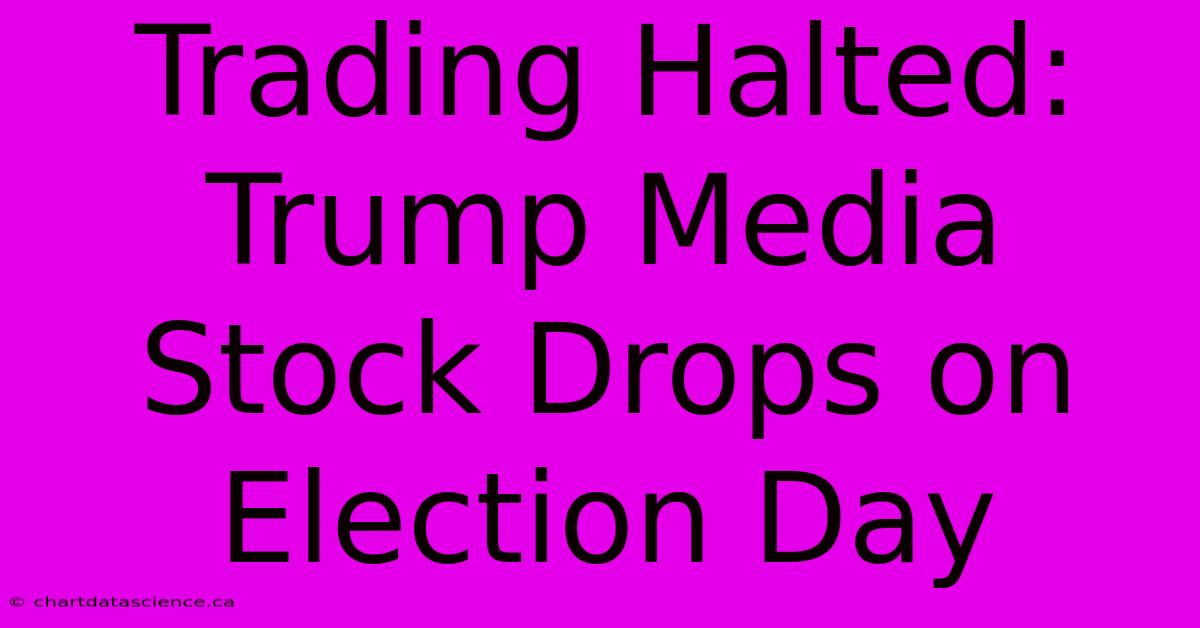 Trading Halted: Trump Media Stock Drops On Election Day 