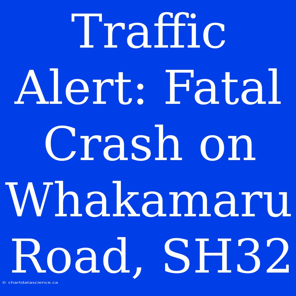 Traffic Alert: Fatal Crash On Whakamaru Road, SH32