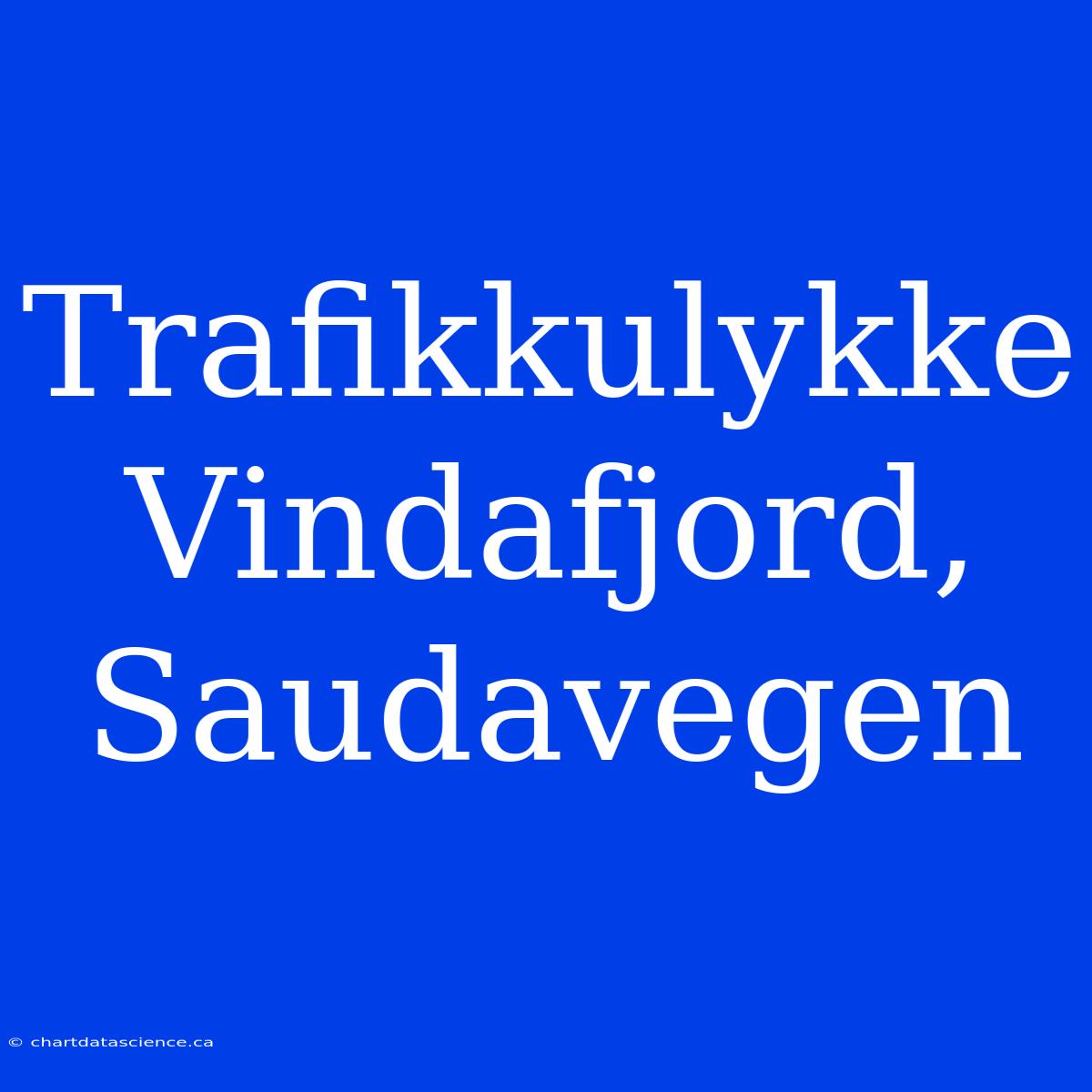 Trafikkulykke Vindafjord, Saudavegen