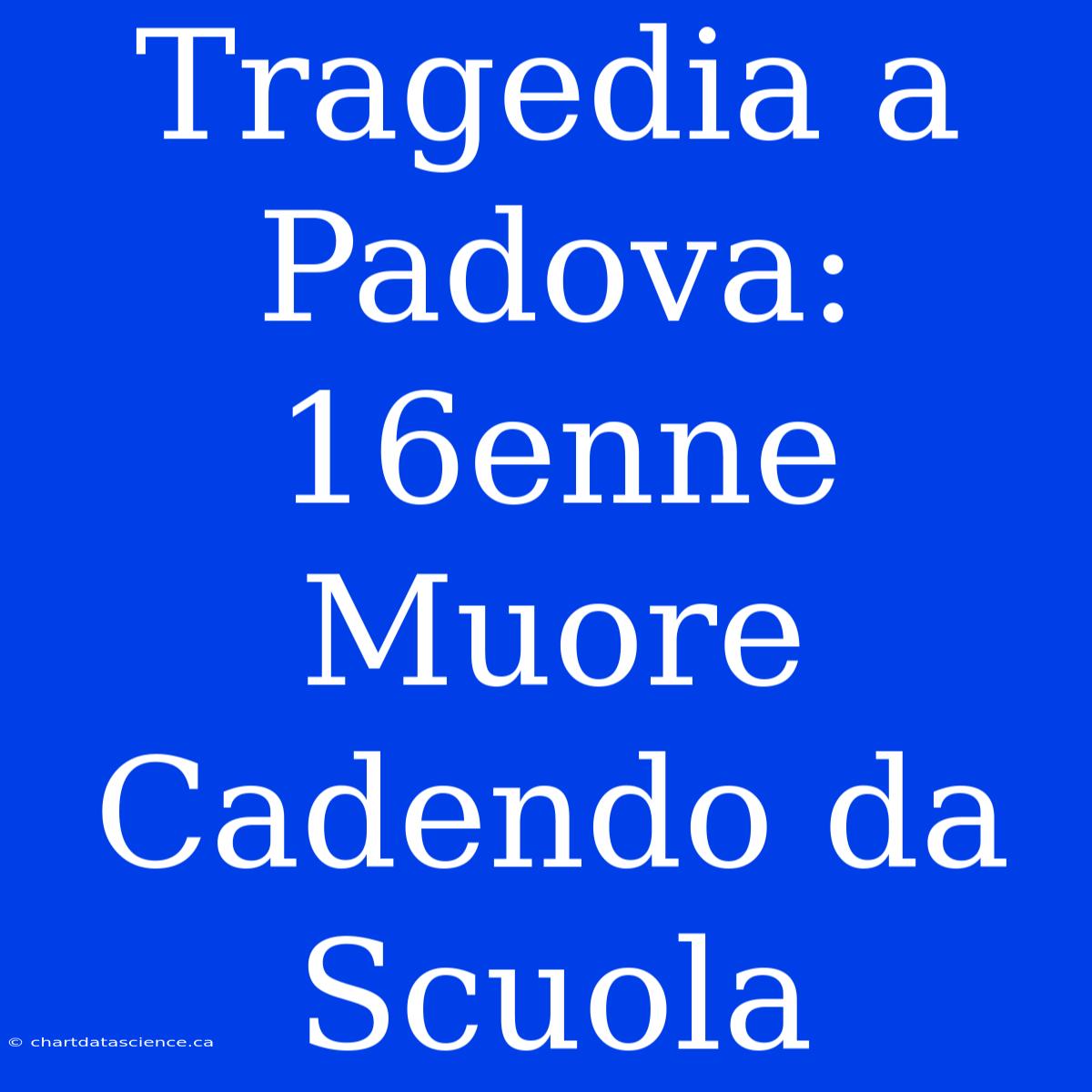 Tragedia A Padova: 16enne Muore Cadendo Da Scuola