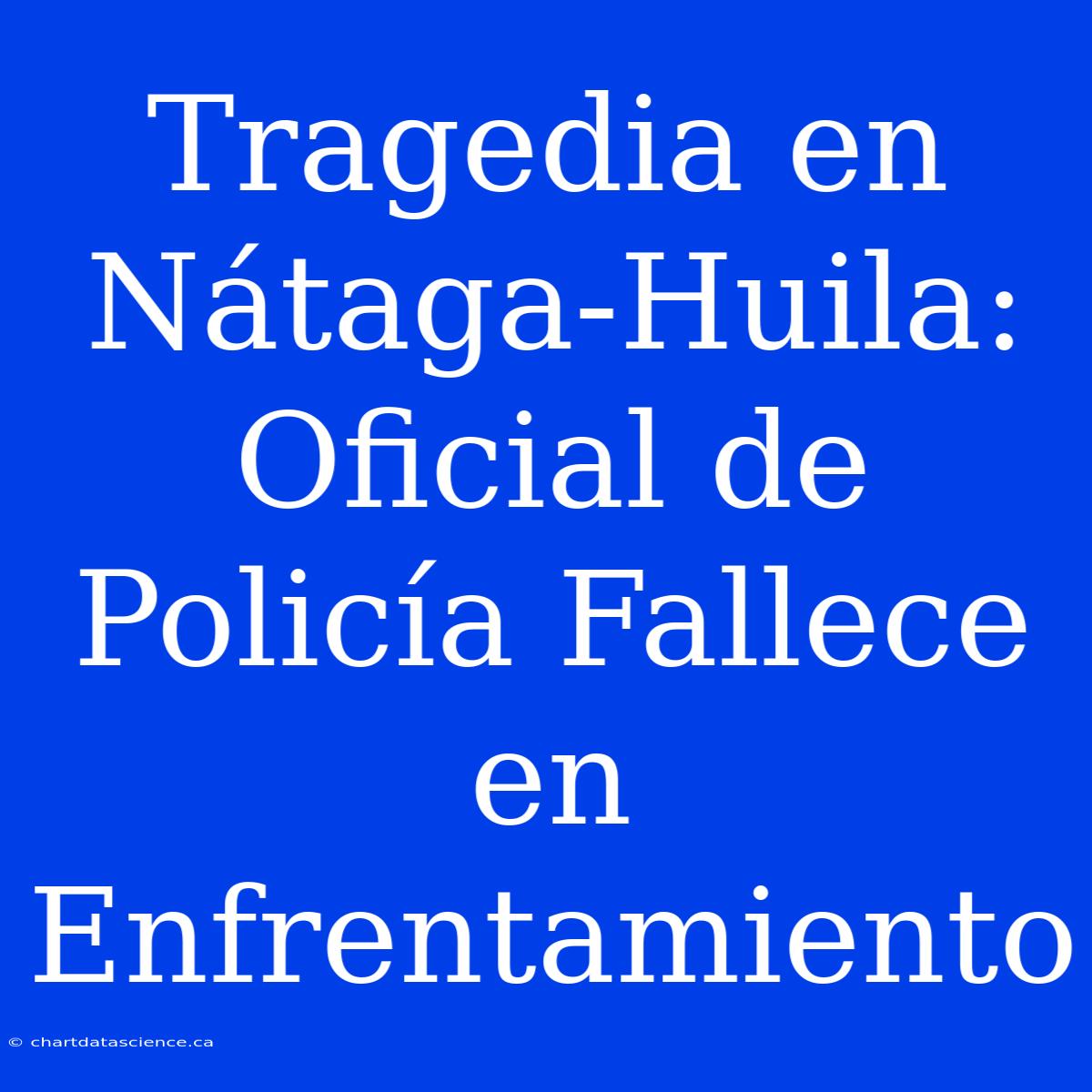 Tragedia En Nátaga-Huila: Oficial De Policía Fallece En Enfrentamiento