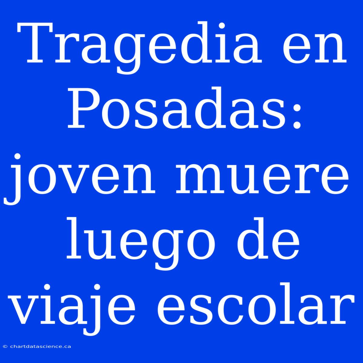 Tragedia En Posadas: Joven Muere Luego De Viaje Escolar