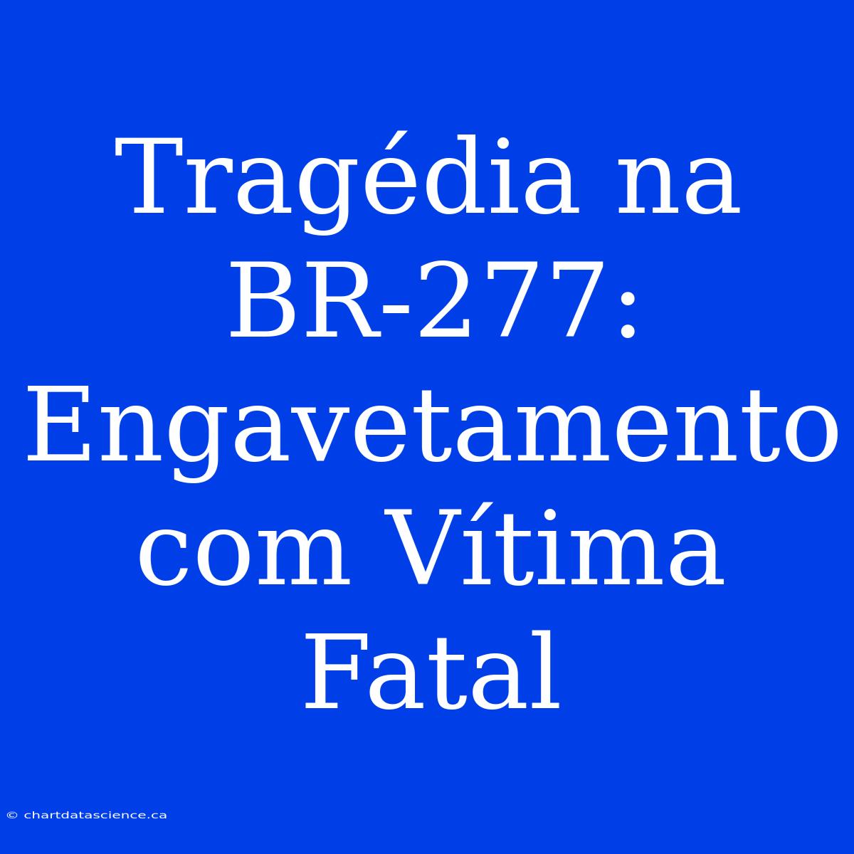 Tragédia Na BR-277:  Engavetamento Com Vítima Fatal