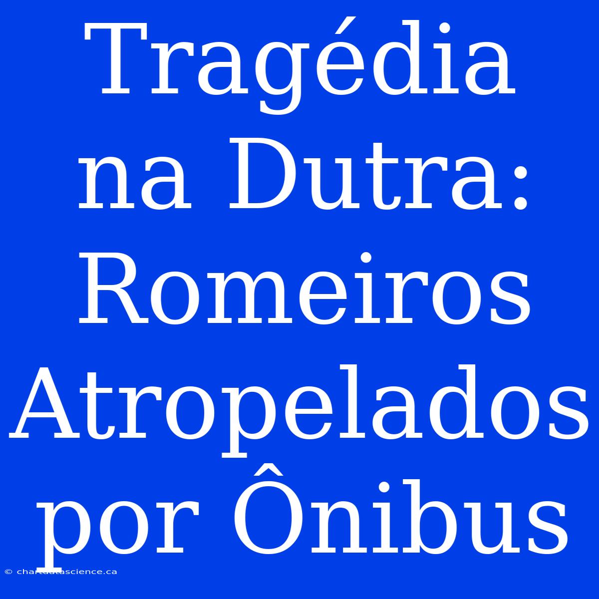 Tragédia Na Dutra: Romeiros Atropelados Por Ônibus