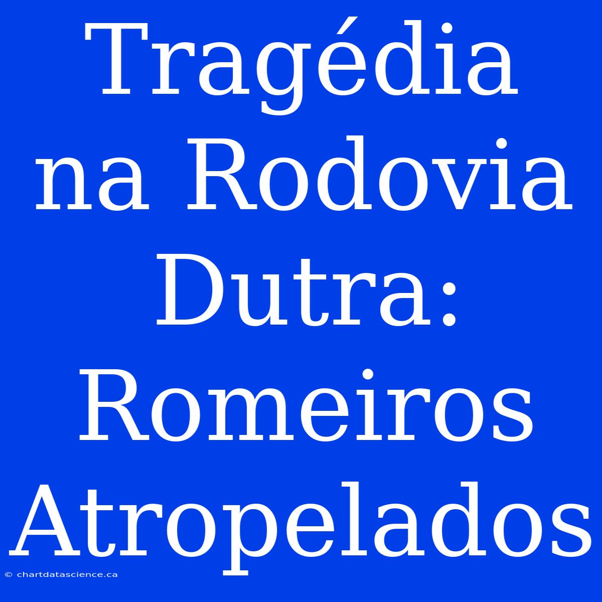 Tragédia Na Rodovia Dutra: Romeiros Atropelados