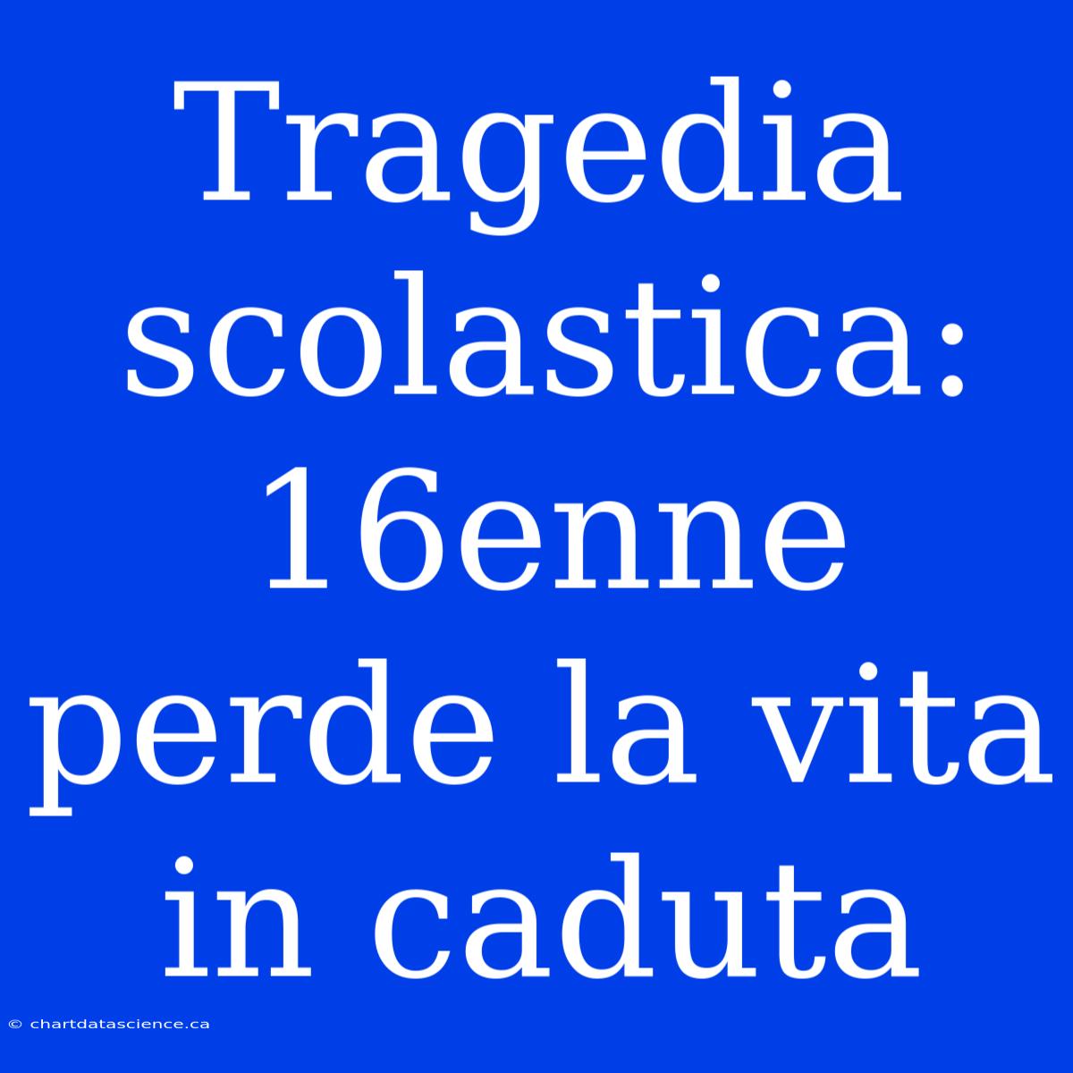 Tragedia Scolastica: 16enne Perde La Vita In Caduta