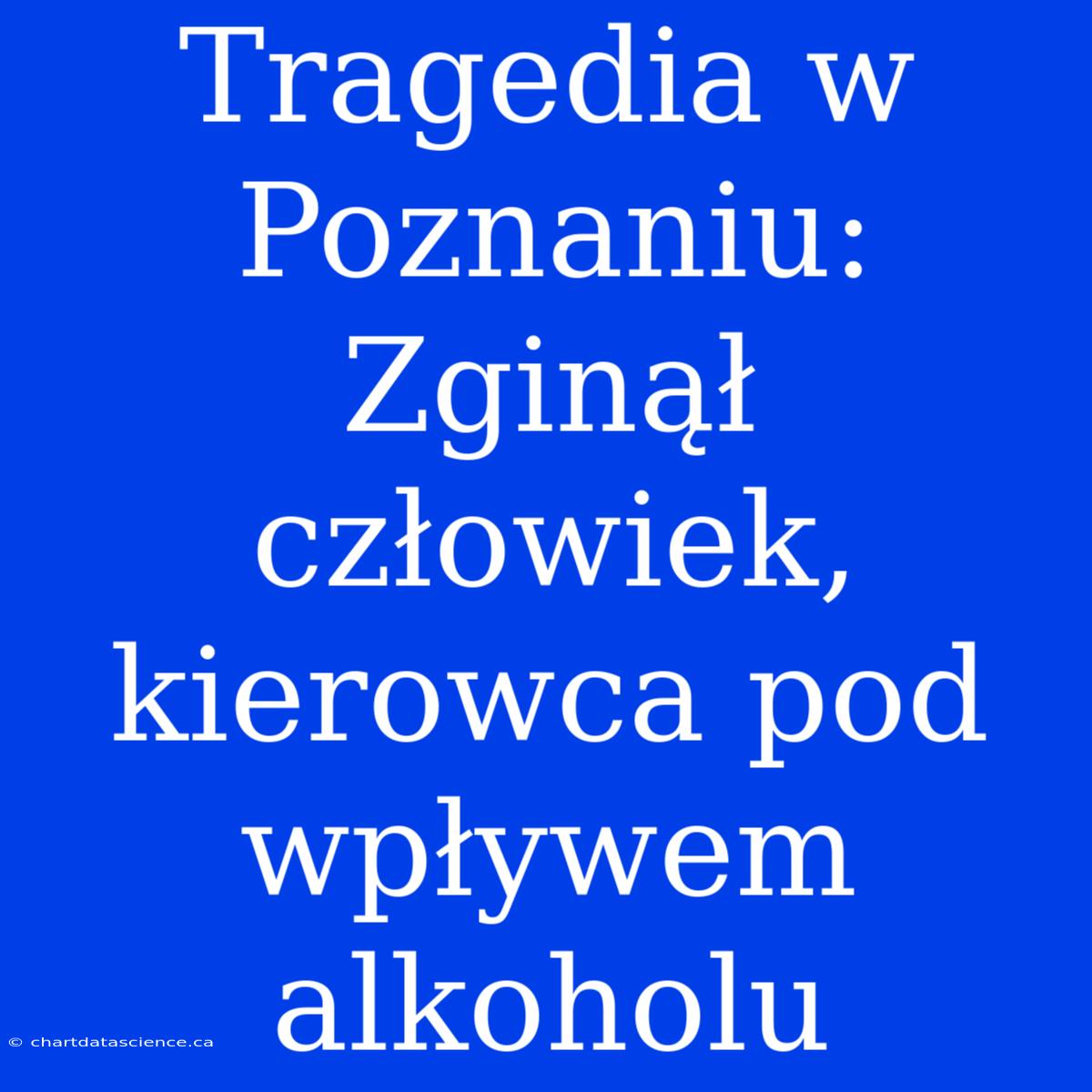 Tragedia W Poznaniu: Zginął Człowiek, Kierowca Pod Wpływem Alkoholu