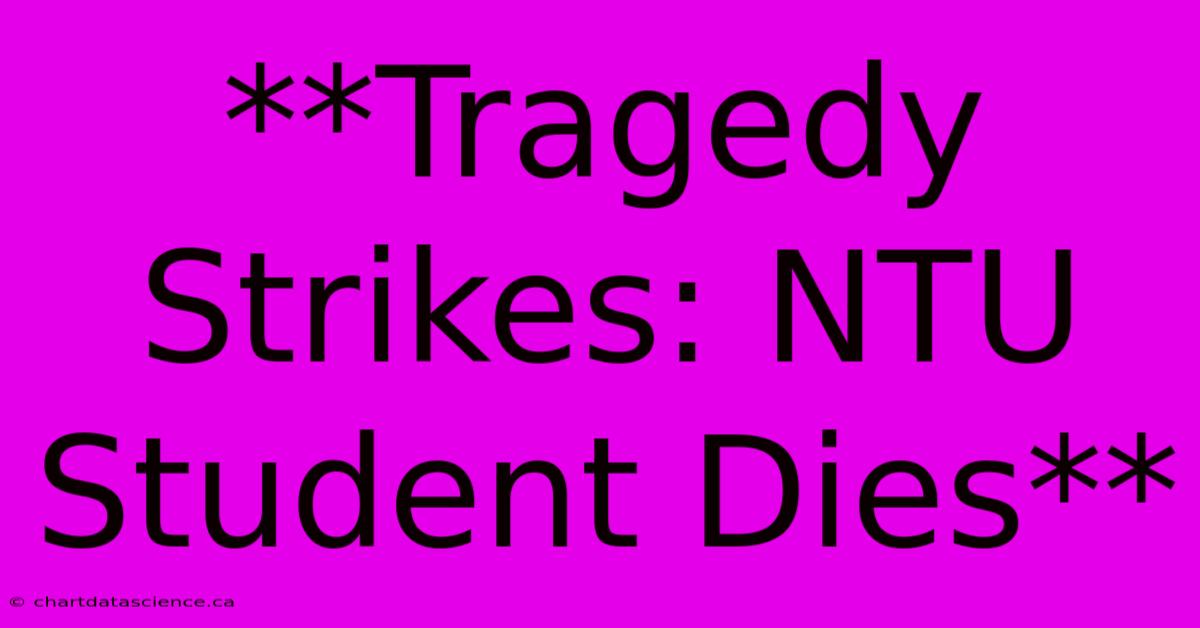 **Tragedy Strikes: NTU Student Dies**