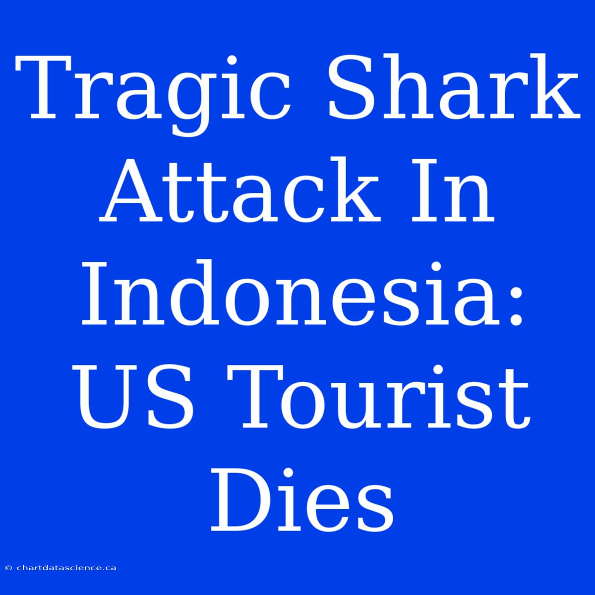 Tragic Shark Attack In Indonesia: US Tourist Dies