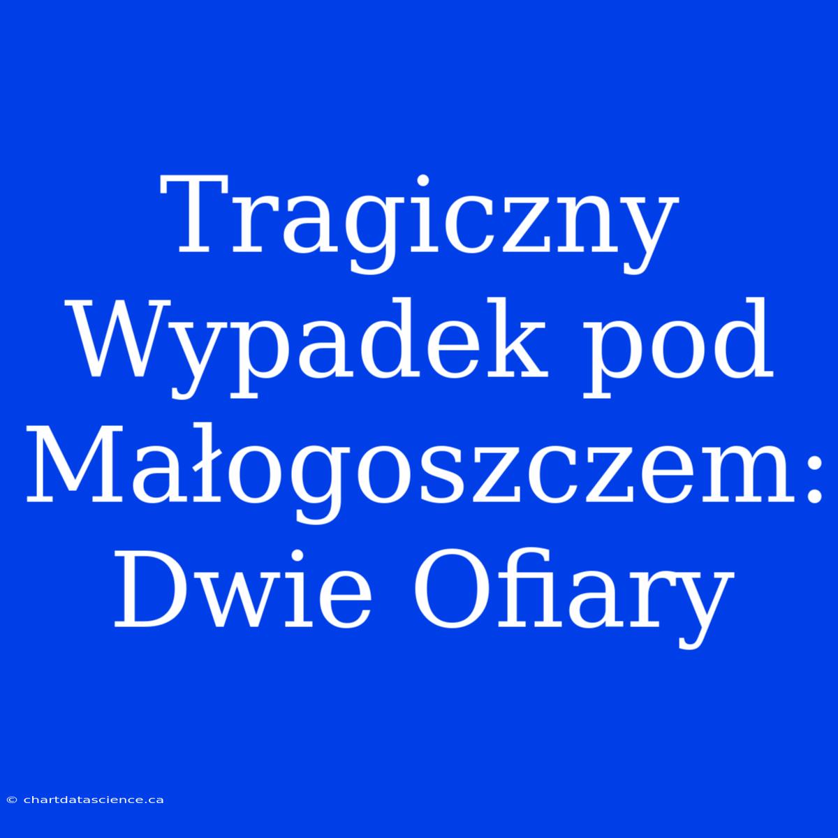 Tragiczny Wypadek Pod Małogoszczem: Dwie Ofiary