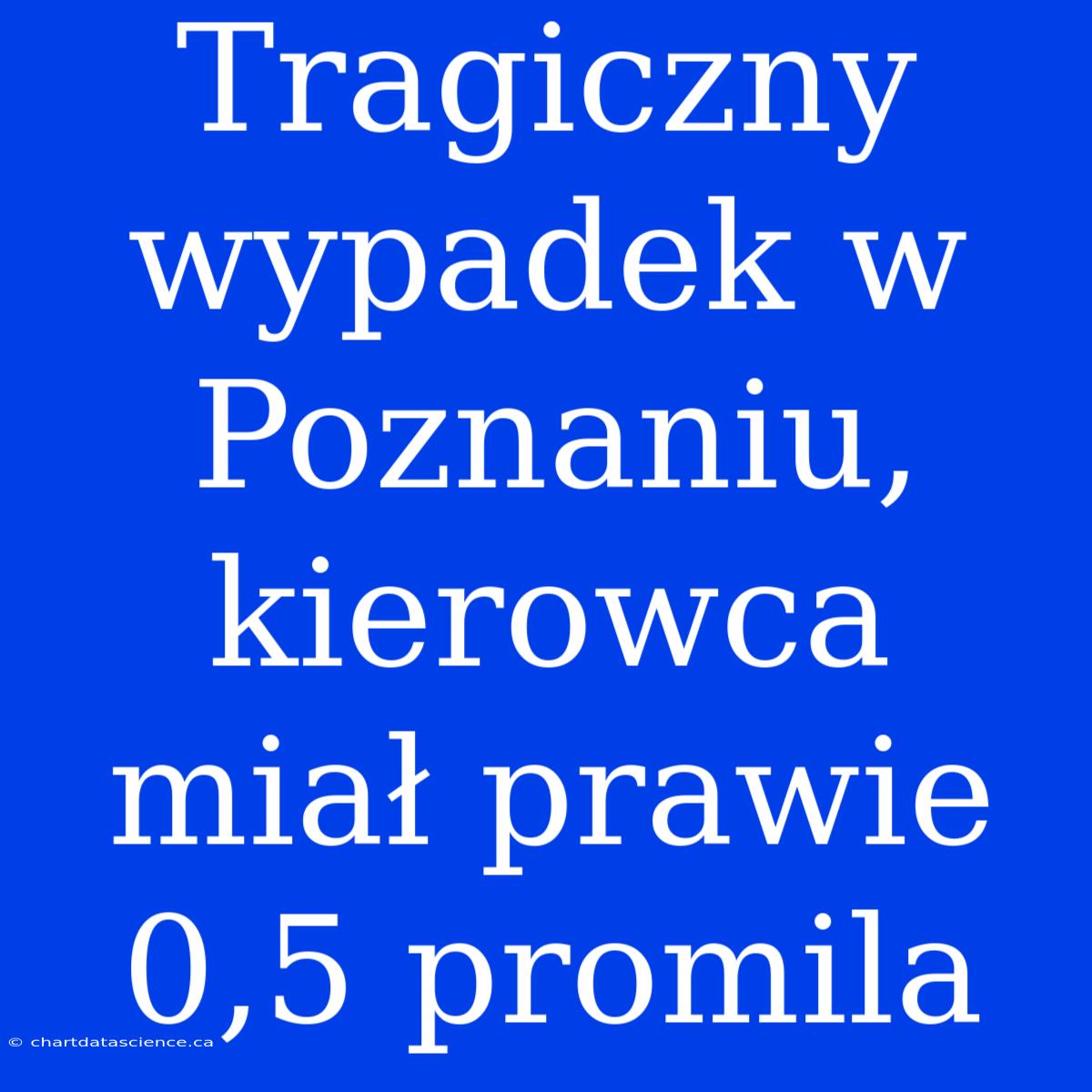 Tragiczny Wypadek W Poznaniu, Kierowca Miał Prawie 0,5 Promila