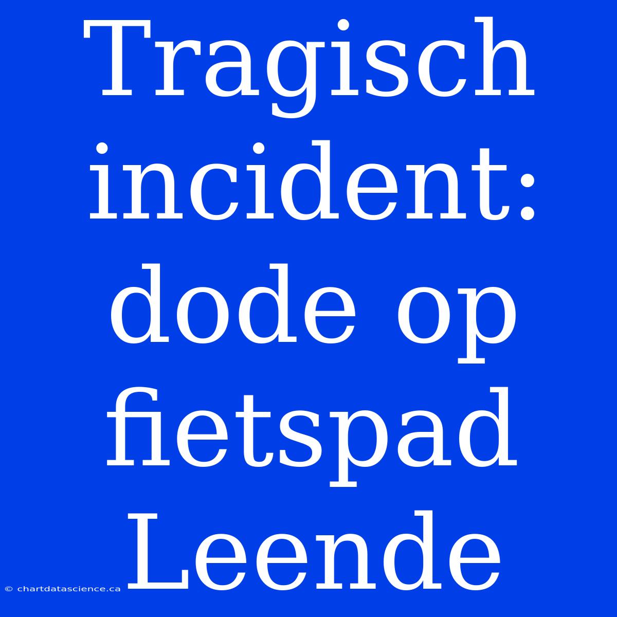 Tragisch Incident: Dode Op Fietspad Leende