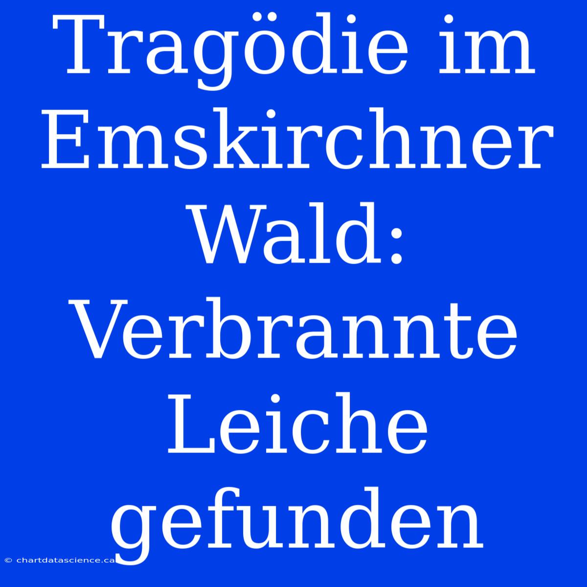 Tragödie Im Emskirchner Wald: Verbrannte Leiche Gefunden