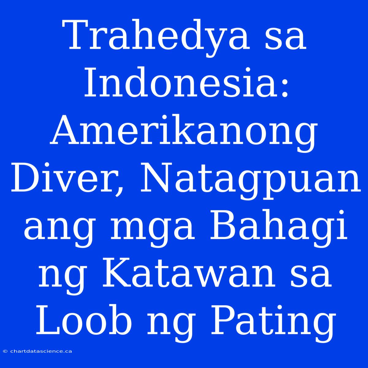 Trahedya Sa Indonesia: Amerikanong Diver, Natagpuan Ang Mga Bahagi Ng Katawan Sa Loob Ng Pating