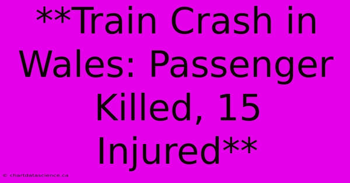 **Train Crash In Wales: Passenger Killed, 15 Injured** 