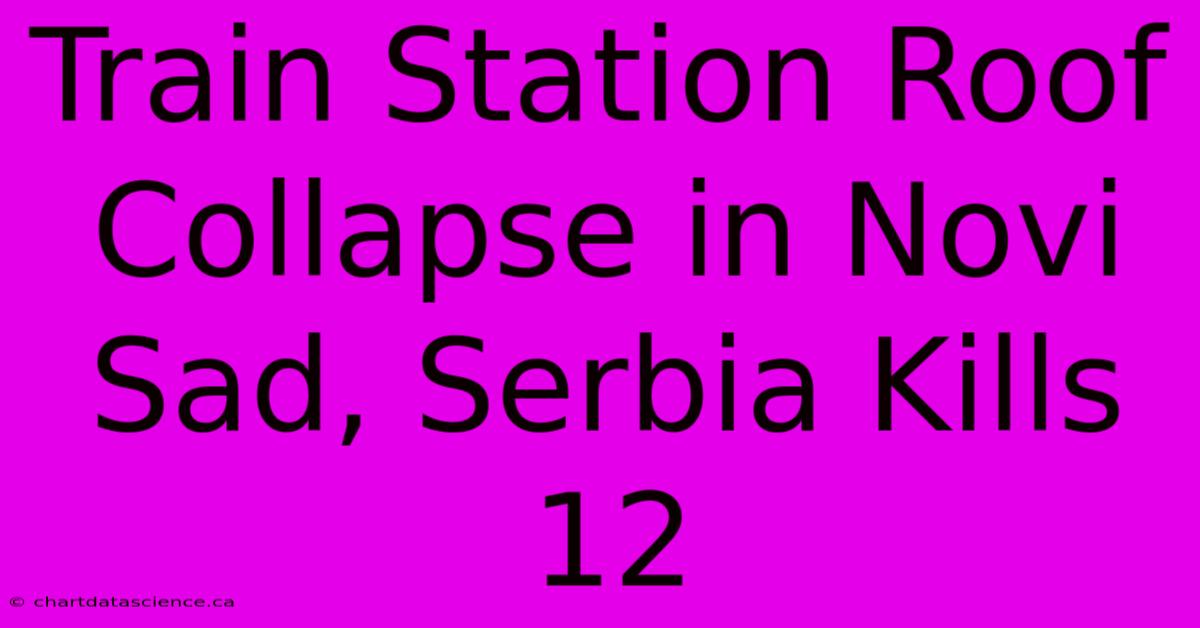 Train Station Roof Collapse In Novi Sad, Serbia Kills 12 