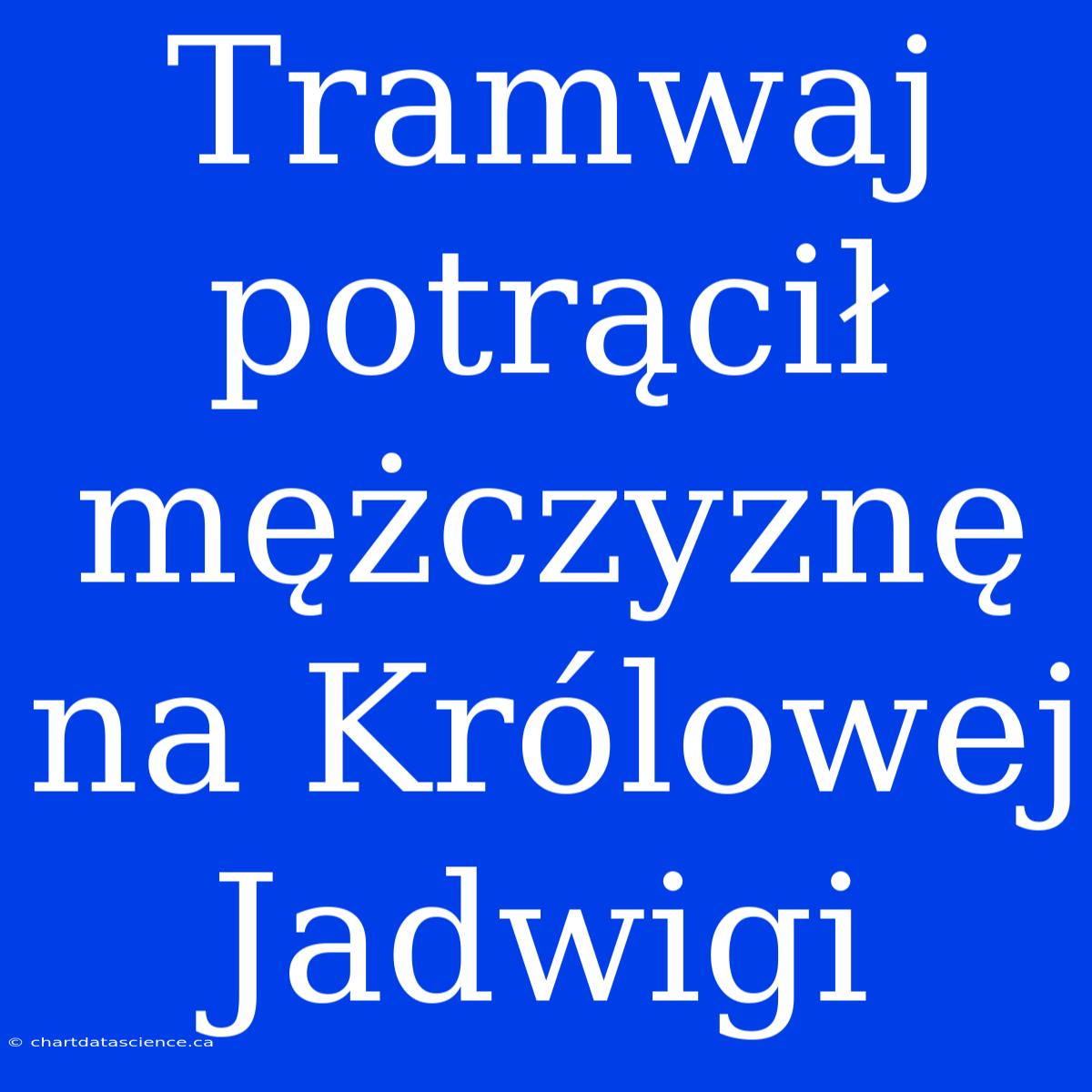 Tramwaj Potrącił Mężczyznę Na Królowej Jadwigi