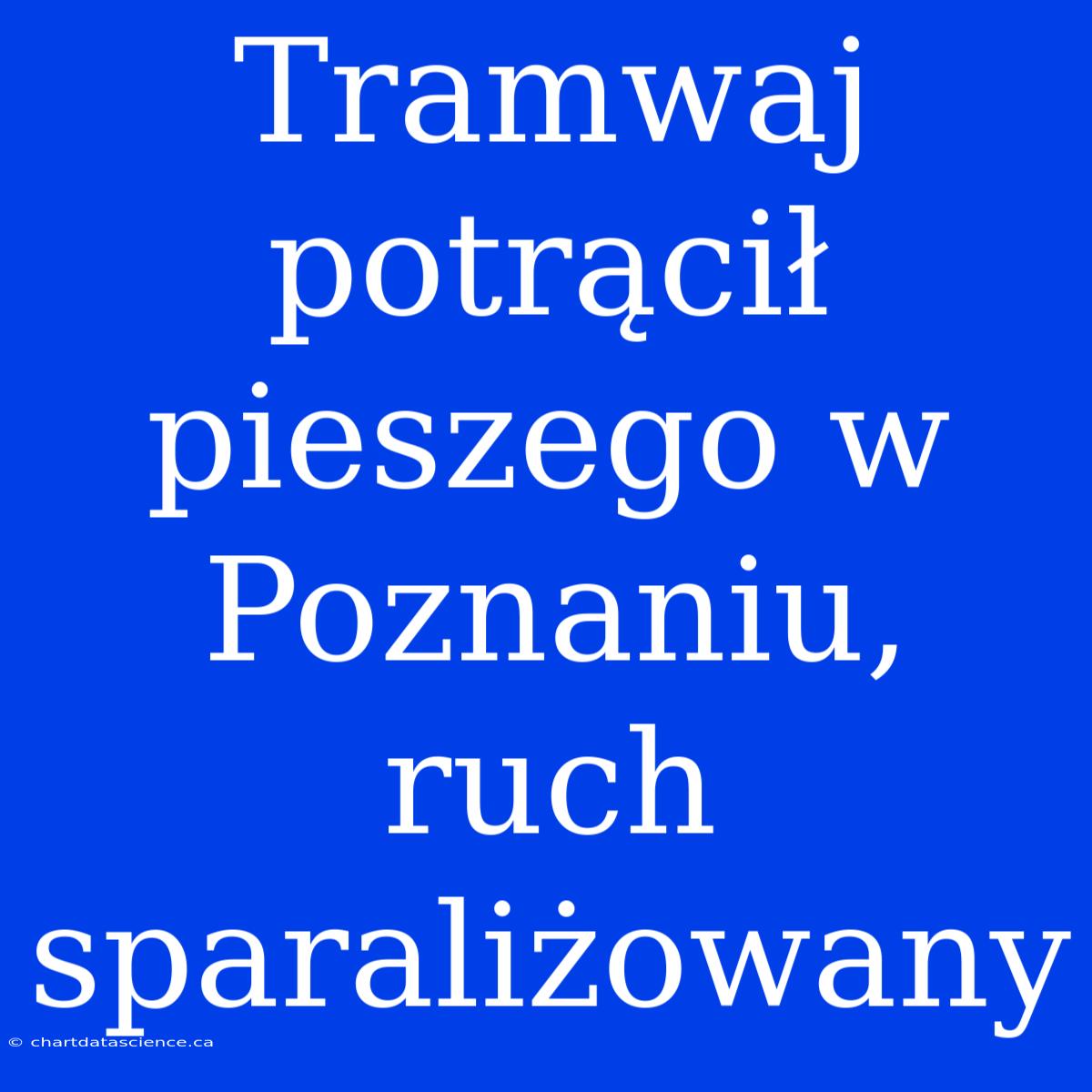 Tramwaj Potrącił Pieszego W Poznaniu, Ruch Sparaliżowany