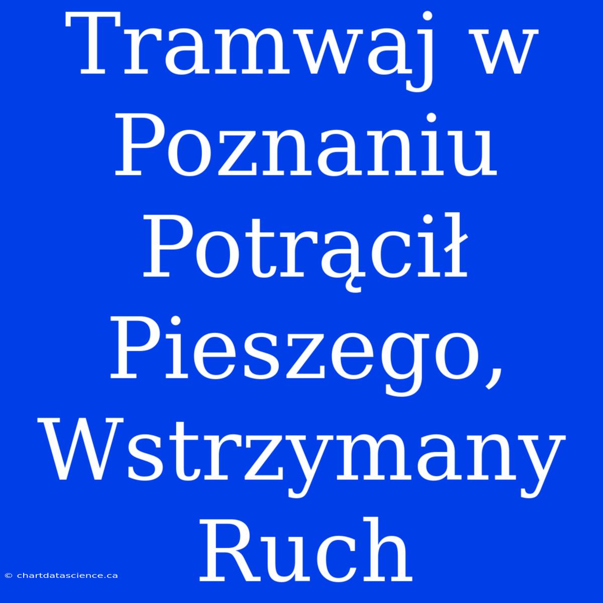 Tramwaj W Poznaniu Potrącił Pieszego, Wstrzymany Ruch