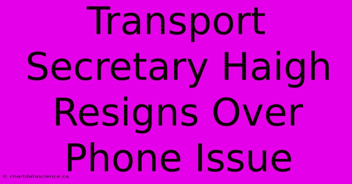 Transport Secretary Haigh Resigns Over Phone Issue