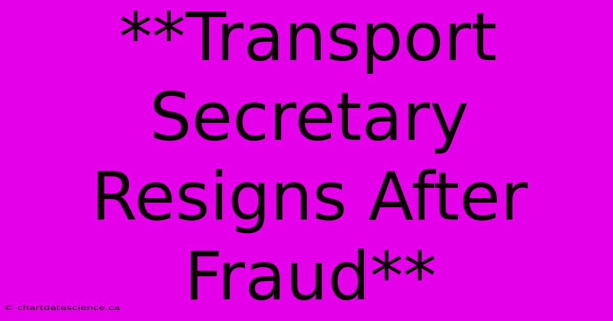 **Transport Secretary Resigns After Fraud**