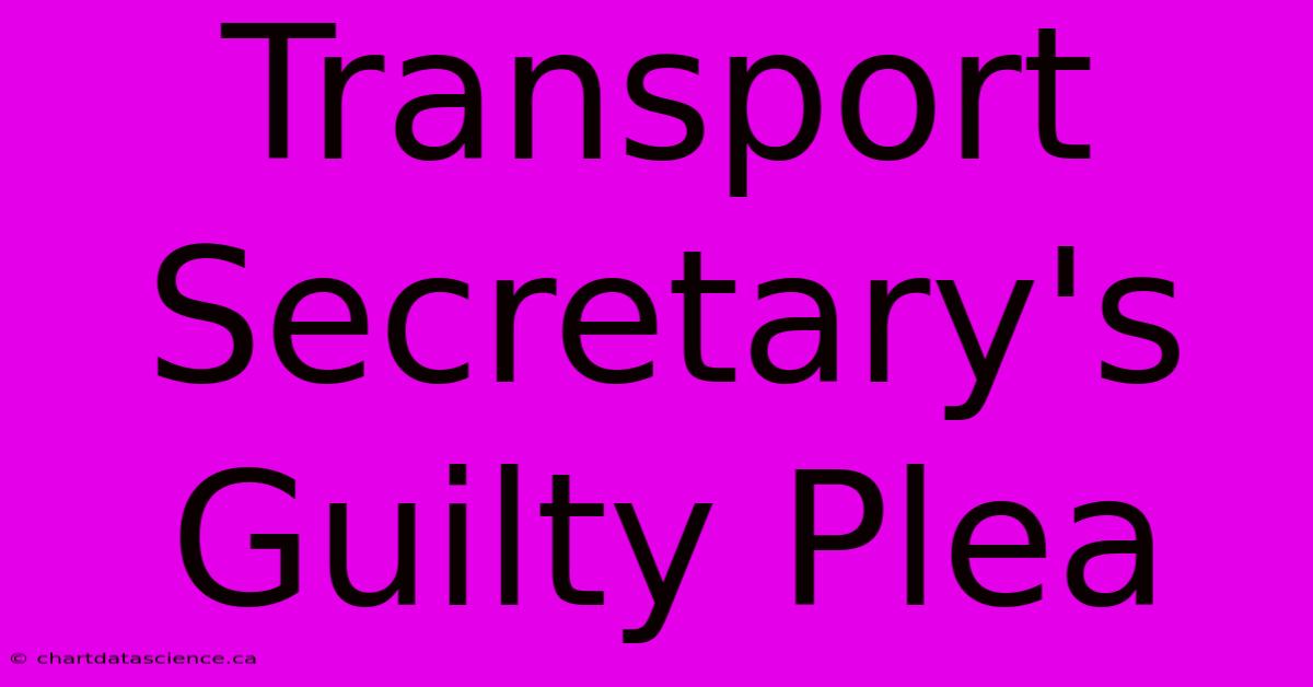 Transport Secretary's Guilty Plea