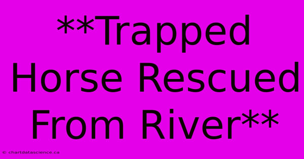 **Trapped Horse Rescued From River**