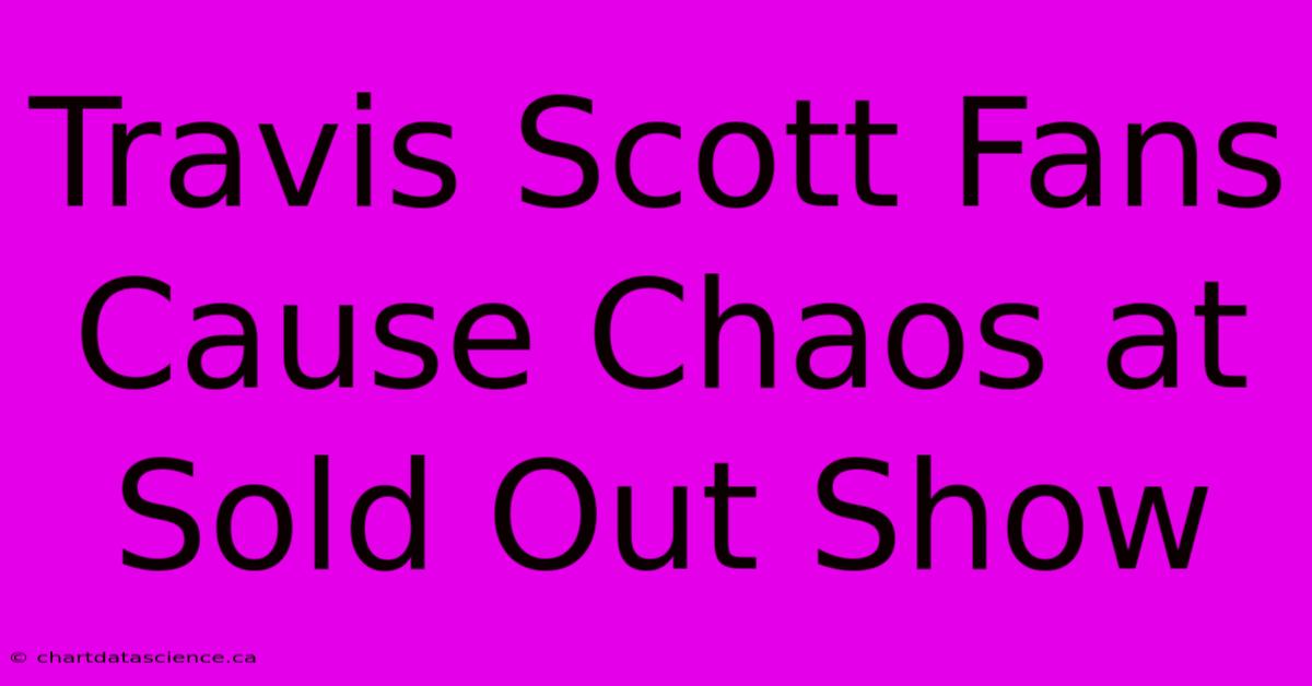 Travis Scott Fans Cause Chaos At Sold Out Show