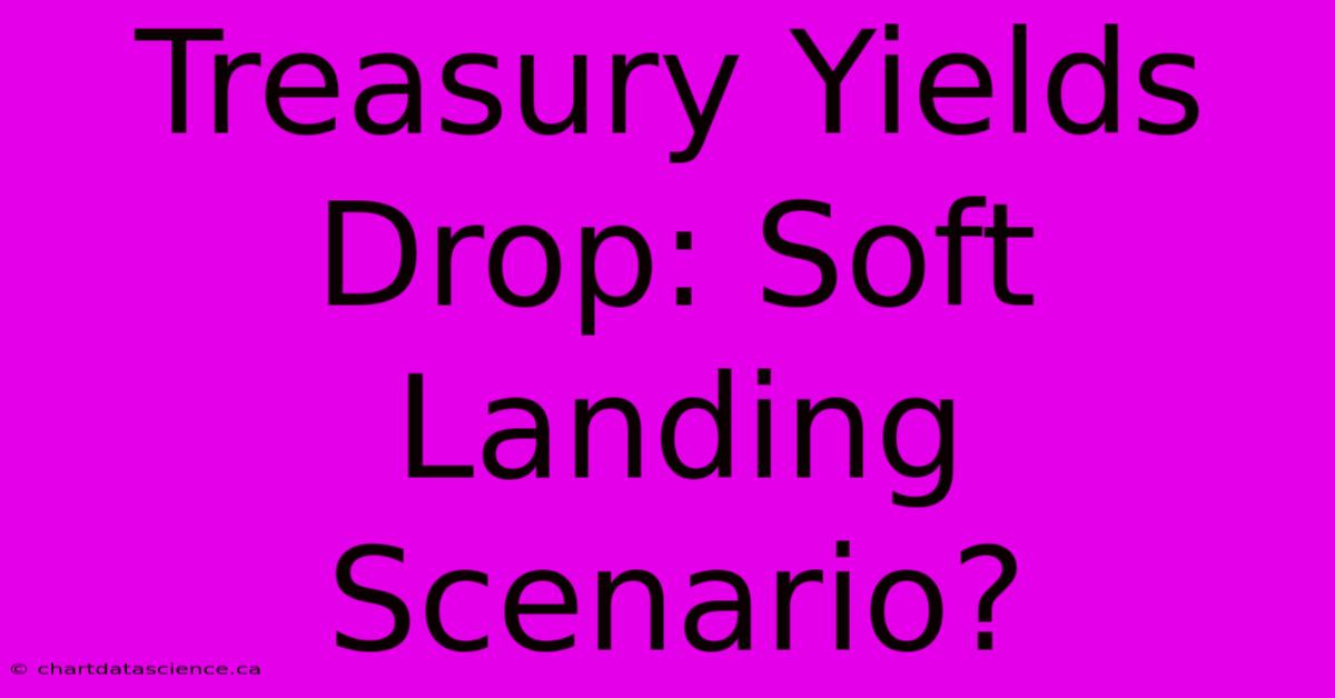 Treasury Yields Drop: Soft Landing Scenario? 