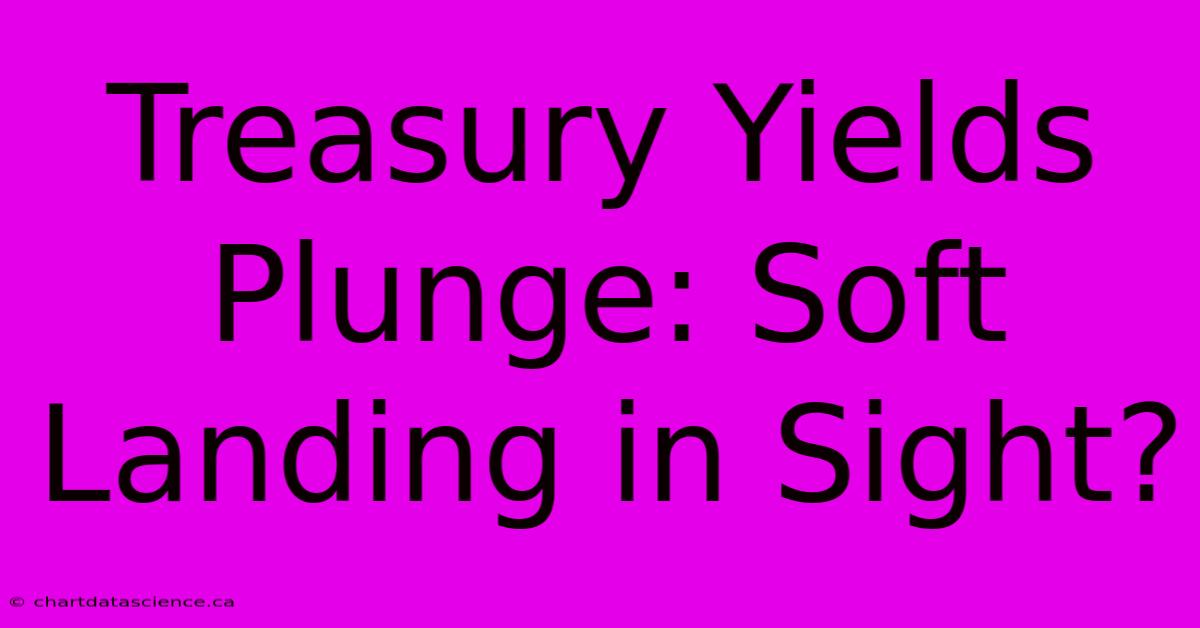 Treasury Yields Plunge: Soft Landing In Sight?